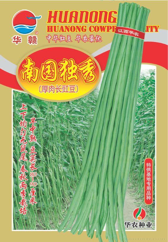 南国独秀—豇豆种子 