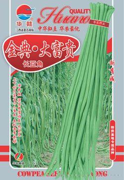 金典•大富贵—豇豆种子