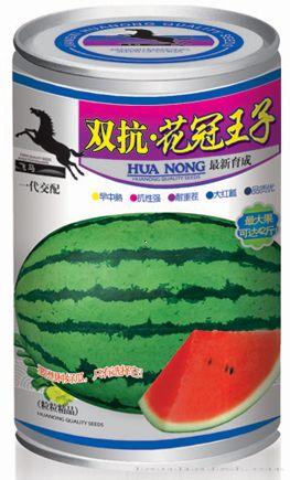 双抗花冠王子—西瓜种子 