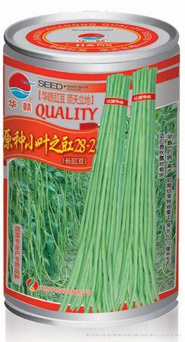 原种小叶之豇28-2—豇豆种子 