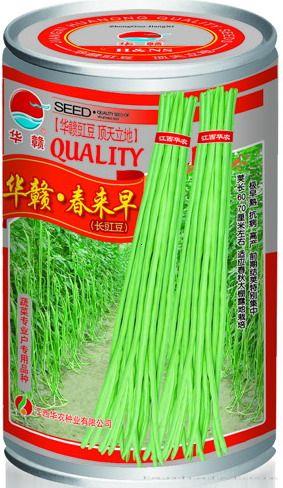 华赣•春来早—豇豆种子 