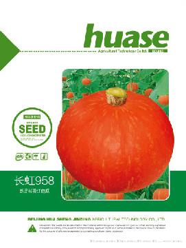 长虹958—南瓜种子