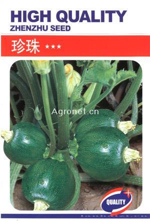 供应珍珠-南瓜种子