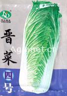 供应晋菜四号-白菜种子