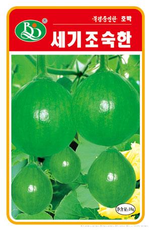 世季早熟——南瓜种子