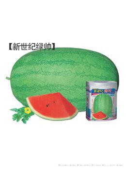 新世界绿帅—西瓜种子 
