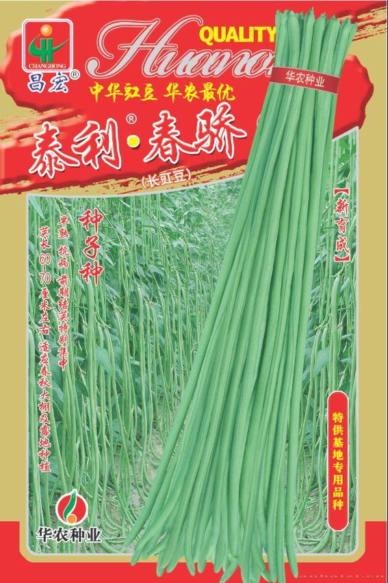 泰利·春骄—豇豆种子