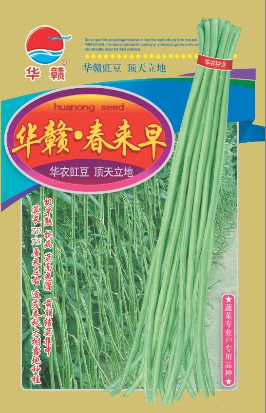 华赣·春来早—豇豆种子 
