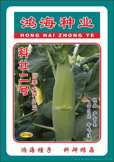 科壮二号芥兰