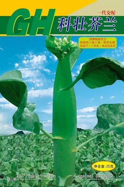 科壮芥兰