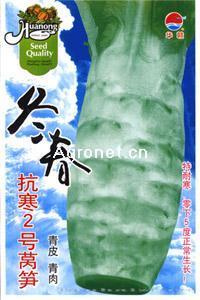 冬春抗寒2号莴笋—莴苣种子 