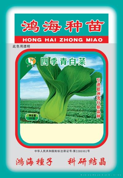 四季青白菜