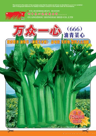 万众一心菜心