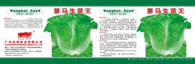 萝马生菜王（罐装）