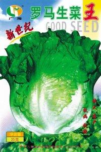 新世纪罗马生菜王