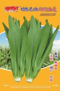 耐热无斑超级油麦（004）