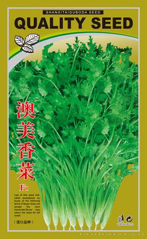 澳美香菜——香菜种子