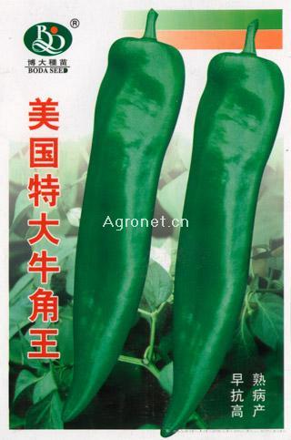 美国特大牛角王-辣椒种子