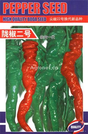 陇椒二号-辣椒种子