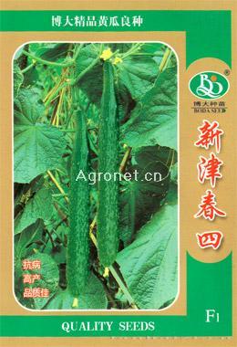 新津春四-黄瓜种子