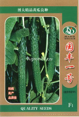 园丰一号-黄瓜种子