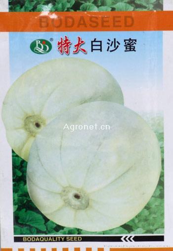 特大白沙蜜-甜瓜种子