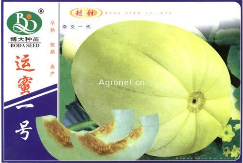 运蜜一号-甜瓜种子