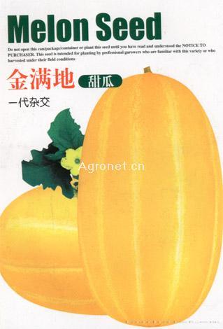 金满地-甜瓜种子