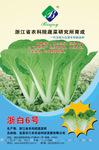 6号小白菜种子