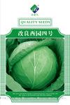 抗病耐寒甘蓝 