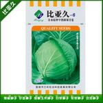 6(新绿旺)高档水果甘蓝种子