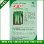汉皇F1黄瓜种子