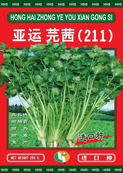 亚运芫茜（211）