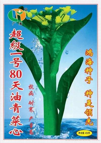 超级一号80天菜心