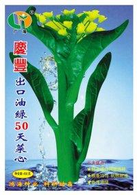 庆丰50天菜心