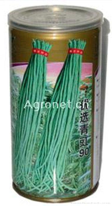 优选青豇90—豇豆种子 