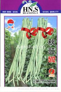 秋豇512—豇豆种子 