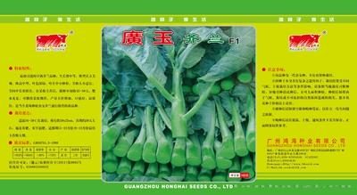广玉芥兰F1（罐装）