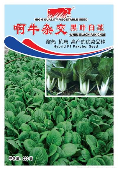 啊牛杂交黑叶白菜