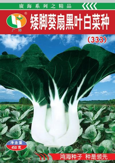 矮脚黑叶白菜