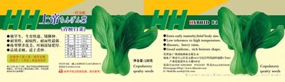 上帝青梗白菜（罐装）