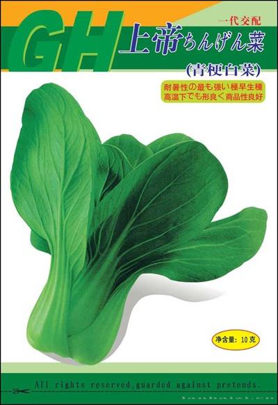 上帝青梗白菜