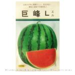 批发供应泰国进口水果种子泰国巨峰杂交西瓜种子地雷瓜高产特卖
