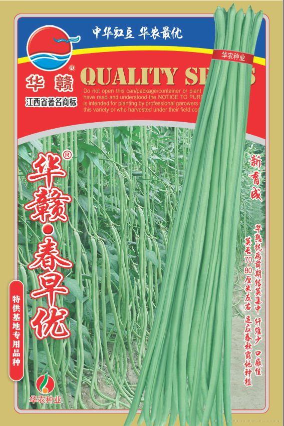 金小兰—西瓜种子 