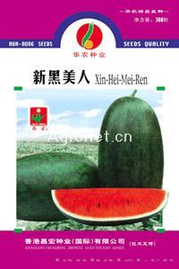 新黑美人—西瓜种子