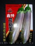 花茄王种子