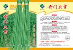 早中熟耐热翠绿色豇豆种子