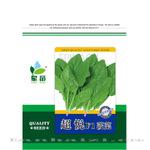 厂家直销 星苗超悦杂交菠菜种子高产耐寒 蔬菜种子基地专供