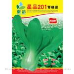 批发蔬菜种子星品201青梗菜种子上海青种子基批发蔬菜种子星品201青梗菜种子上海青种子基地专用 20