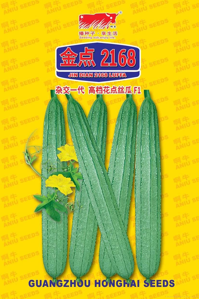 金点2168丝瓜